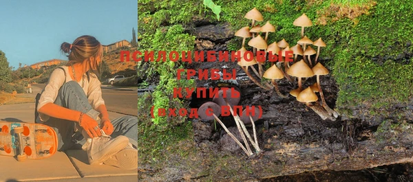 соль курить ск Осинники