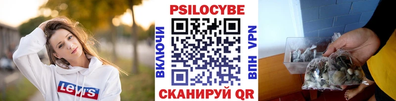 Купить где  Реж  Псилоцибиновые грибы Cubensis 